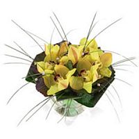 ����� � 71 ���� � ���������������� ��������� ��������