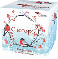 ������� 25 ���������