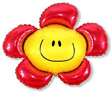 ������ ������� ���� � ���������������� ��������� ��������