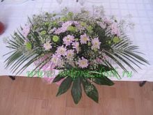 ���������� � 178 ���� � ���������������� ��������� ��������