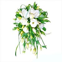 ����� � 13 ���� � ���������������� ��������� ��������