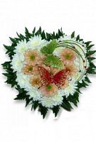 ���������� � 138 ���� � ���������������� ��������� ��������