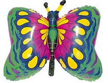 ������� ������ ���� � ���������������� ��������� ��������