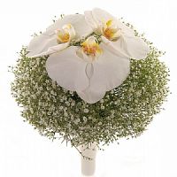 ����� � 7 ���� � ���������������� ��������� ��������