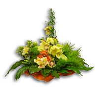 ����� � 147 ���� � ���������������� ��������� ��������