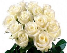 ���� ����� ���� � ���������������� ��������� ��������