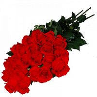 ����� � 131 ���� � ���������������� ��������� ��������