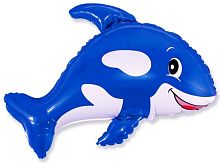 ������� (�����) ���� � ���������������� ��������� ��������