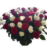 ����� � 63 ���� � ���������������� ��������� ��������