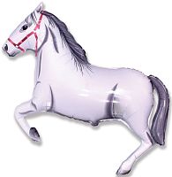 ������ ����� ���� � ���������������� ��������� ��������