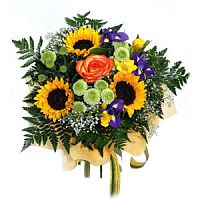 ����� � 151 ���� � ���������������� ��������� ��������