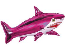 ����� ������� ��������� ���� � ���������������� ��������� ��������