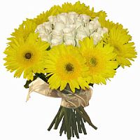 ����� � 165 ���� � ���������������� ��������� ��������