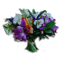 ����� � 31 ���� � ���������������� ��������� ��������