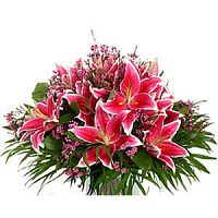 ����� � 86 ���� � ���������������� ��������� ��������