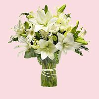 ����� � 33 ���� � ���������������� ��������� ��������