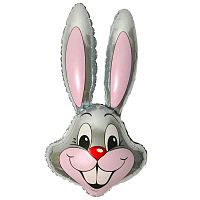 ���� ����� ���� � ���������������� ��������� ��������