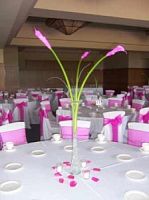 ���������� � 173 ���� � ���������������� ��������� ��������