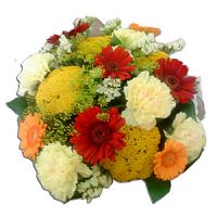 ����� � 146 ���� � ���������������� ��������� ��������