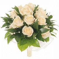 ����� � 2 ���� � ���������������� ��������� ��������