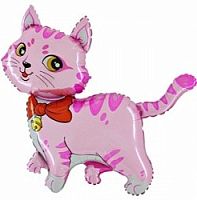 ������� � ������ ������� ���� � ���������������� ��������� ��������