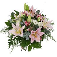 ����� � 164 ���� � ���������������� ��������� ��������