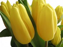 ������� ������ ���� � ���������������� ��������� ��������