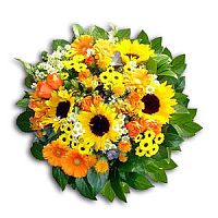 ����� � 161 ���� � ���������������� ��������� ��������