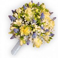 ����� � 17 ���� � ���������������� ��������� ��������