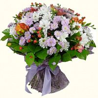 ����� � 113 ���� � ���������������� ��������� ��������