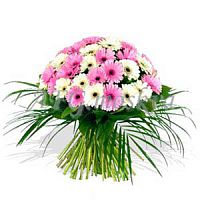 ����� � 37 ���� � ���������������� ��������� ��������