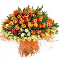 ����� � 60 ���� � ���������������� ��������� ��������