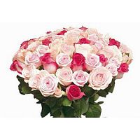 ����� � 36 ���� � ���������������� ��������� ��������