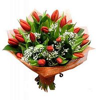 ����� � 81 ���� � ���������������� ��������� ��������