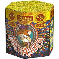 ���� ����� ���� � ���������������� ��������� ��������