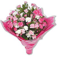 ����� � 66 ���� � ���������������� ��������� ��������