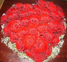 ���������� � 144 ���� � ���������������� ��������� ��������