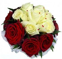 ����� � 3 ���� � ���������������� ��������� ��������