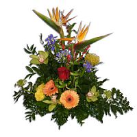 ����� � 148 ���� � ���������������� ��������� ��������