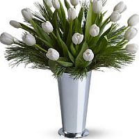 ����� � 68 ���� � ���������������� ��������� ��������