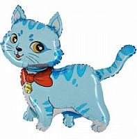 ������� � ������ ������� ���� � ���������������� ��������� ��������