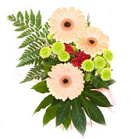 ����� � 158 ���� � ���������������� ��������� ��������