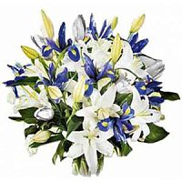 ����� � 83 ���� � ���������������� ��������� ��������