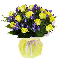 ����� � 73 ���� � ���������������� ��������� ��������