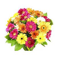 ����� � 52 ���� � ���������������� ��������� ��������