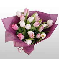 ����� � 41 ���� � ���������������� ��������� ��������