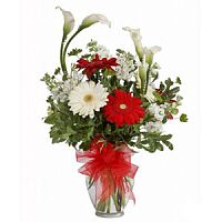 ����� � 152 ���� � ���������������� ��������� ��������