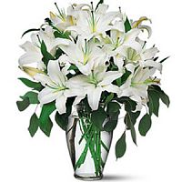 ����� � 88 ���� � ���������������� ��������� ��������