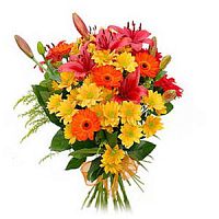 ����� � 156 ���� � ���������������� ��������� ��������