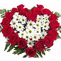 ���������� � 136 ���� � ���������������� ��������� ��������